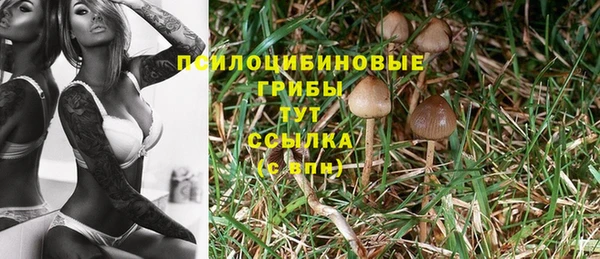 кокс Михайлов