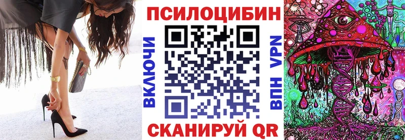 Галлюциногенные грибы Psilocybine cubensis  Лесозаводск 