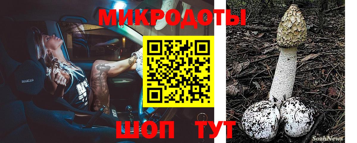 Галлюциногенные грибы MAGIC MUSHROOMS  Вход с VPN  Лесозаводск 