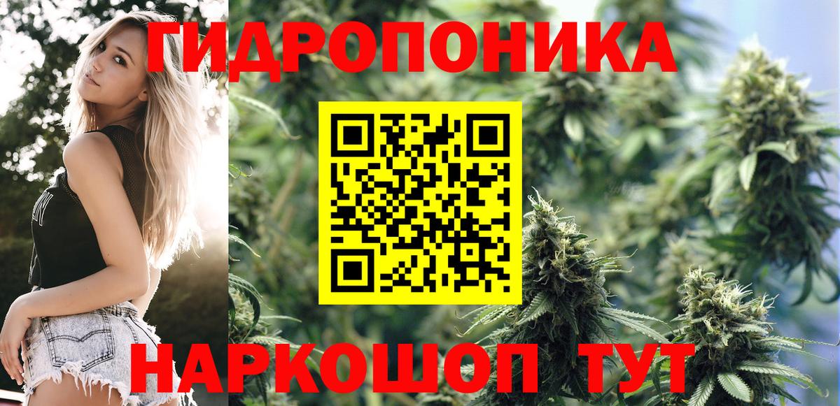 Лесозаводск  Канабис Ganja  Вход с VPN  Каннабис тримм 